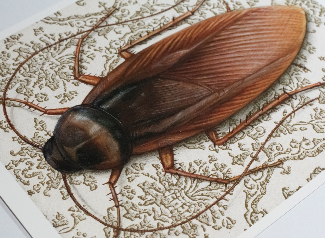Cockroach Print Cockroach - Art Print | Art Nouveau Wallpaper, Home Decor, Roach ...