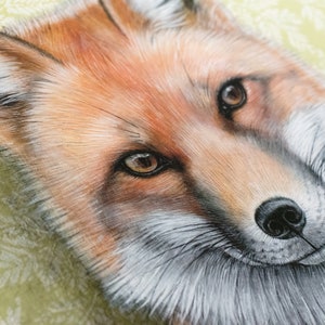 Red Fox Art Print Realistic oil painting reproduction Colorful wallpaper home decor Special occasion gift Gallery wall Matted image 4