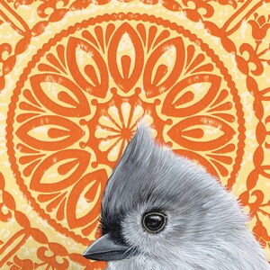 May include: A small gray bird with a black eye and a white crest sits in front of a yellow and orange mandala pattern.