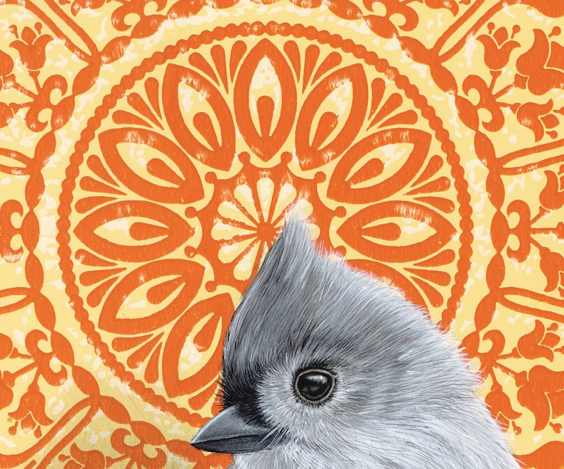May include: A small gray bird with a black eye and a white crest sits in front of a yellow and orange mandala pattern.
