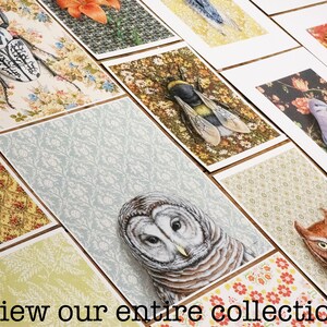 May include: A collection of art prints featuring various animals and floral patterns. The prints are displayed on a table, with the text "view our entire collection" at the bottom.