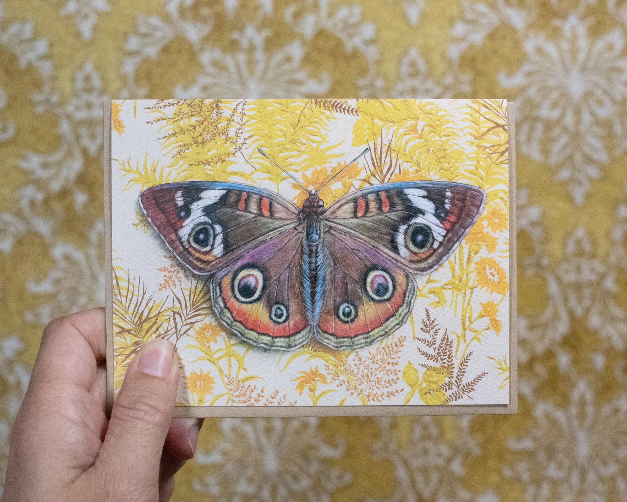 Common Buckeye Butterfly Note Card Blank All Occasion - Etsy