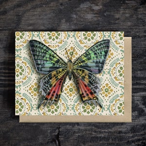 Carte de note de papillon de nuit de Madagascar coucher de soleil vierge toute occasion carte d'insecte de voeux A2 enveloppe kraft stationnaire carte écologique peinture à l'huile carte-cadeau