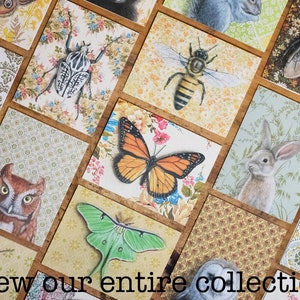 Monarch Butterfly Note Card | Blank All Occasion Greeting Card | A2 ...