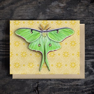 Luna Moth Note Card | pusta kartka okolicznościowa, papier listowy A2, koperta typu kraft, kartka urodzinowa, 100% recyklingu, opakowanie kompostowalne