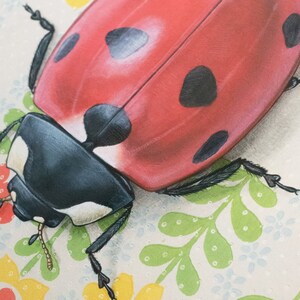 May include: A red ladybug with black spots on a white background with green and yellow floral designs.