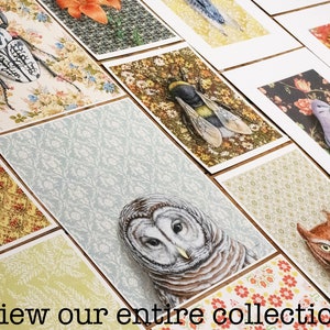 May include: A collection of art prints featuring various animals and floral patterns. The prints are displayed on a table, with the text "view our entire collection" at the bottom.