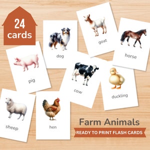 Schede flash stampabili Farm Animals Montessori, materiali didattici per l'aula Homeschooling, schede didattiche per acquerello, DOWNLOAD IMMEDIATO