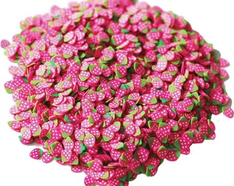 Dress My Crafts Shaker Filler - Fette di fragola Barattolo da 0,28 once