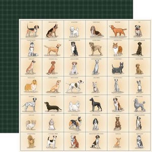 Carta Bella - Best In Show - Best Friends Breeds Scrapbook Paper