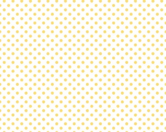 Echo Park Paper - Dots & Stripes Vellum - Yellow Sunshine 12x12 Scrapbook Paper