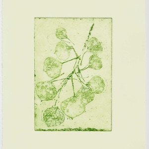 ETCHING/ Softground / Original, Hand Pulled Etching / Copper Plate
