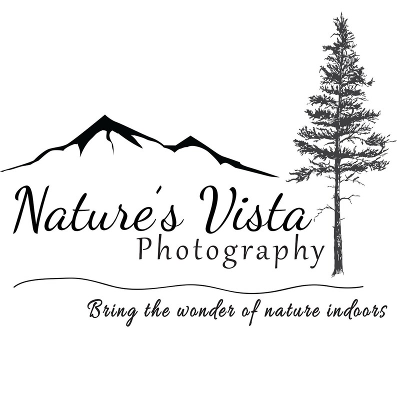 Kentucky Art Red River Nature Lover Gift Autumn Etsy