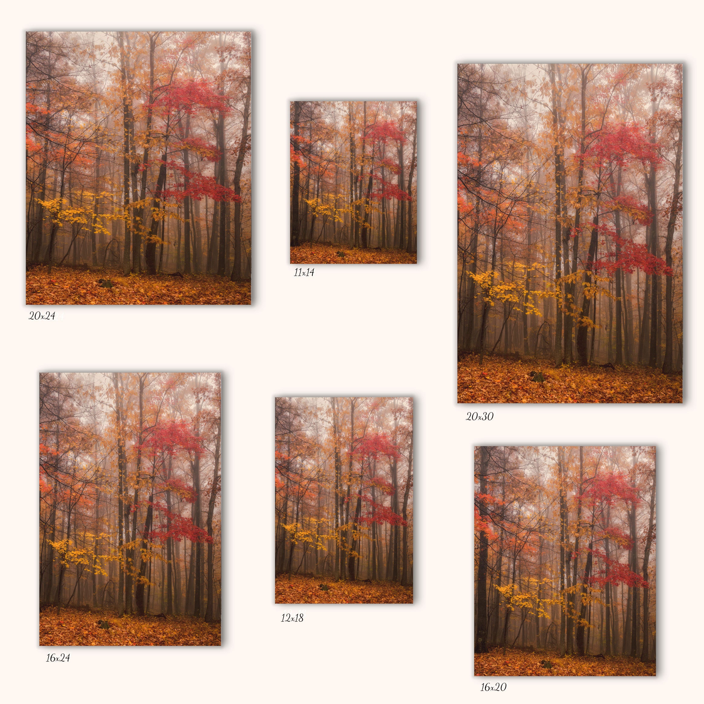 Forest Canvas Wall Art Photo Fall Decor Autumn Landscape | Etsy
