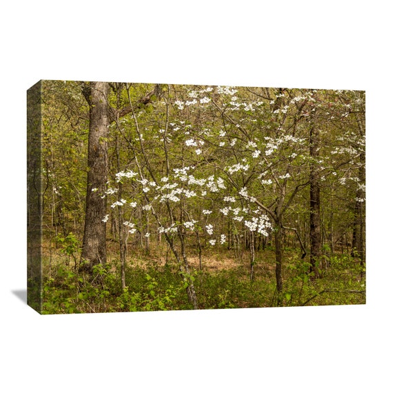 Dogwood Tree Canvas Wall Art Master Bedroom Wall Decor Etsy