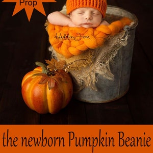 Puede incluir: Un gorro de ganchillo naranja con forma de calabaza con tallo y hoja verdes, sobre un reci&eacute;n nacido en un cubo de metal con arpillera, junto a una calabaza decorativa. Texto: DIY Photo Prop, the newborn Pumpkin Beanie, a crochet pattern from Lily B's.