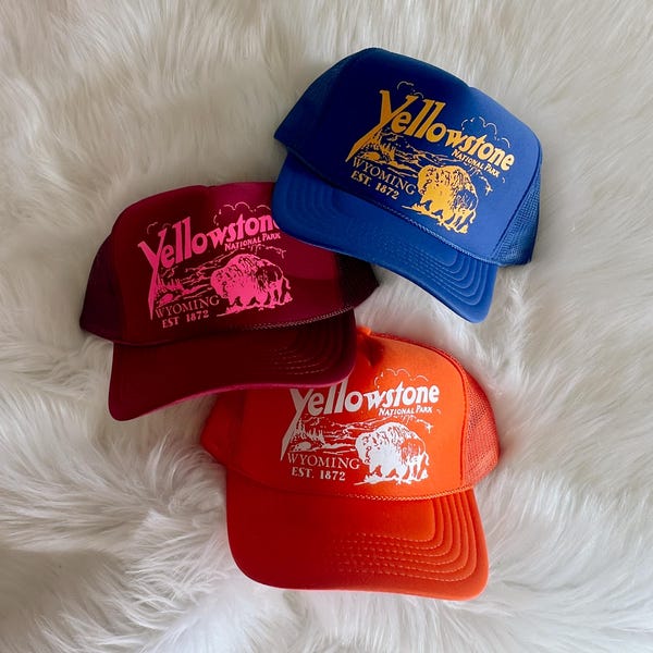 Retro Yellowstone Trucker Hat
