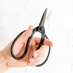 May include: A hand holding a pair of black pruning shears with a silver rivet.