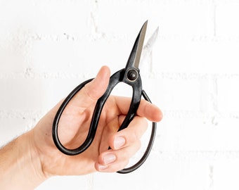 Bonsai Pruning Scissors for Air Plants - Tillandsia Trimming Shears - Precision Plant Scissors - Houseplant Tool