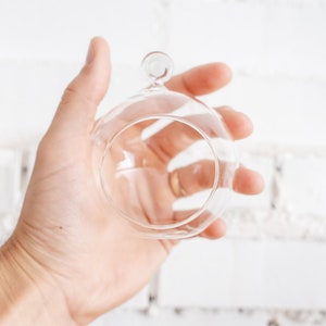May include: A clear glass terrarium with a circular shape and a small loop at the top. The terrarium is held in a hand against a white brick wall. Ideal for small plants or decorative items.