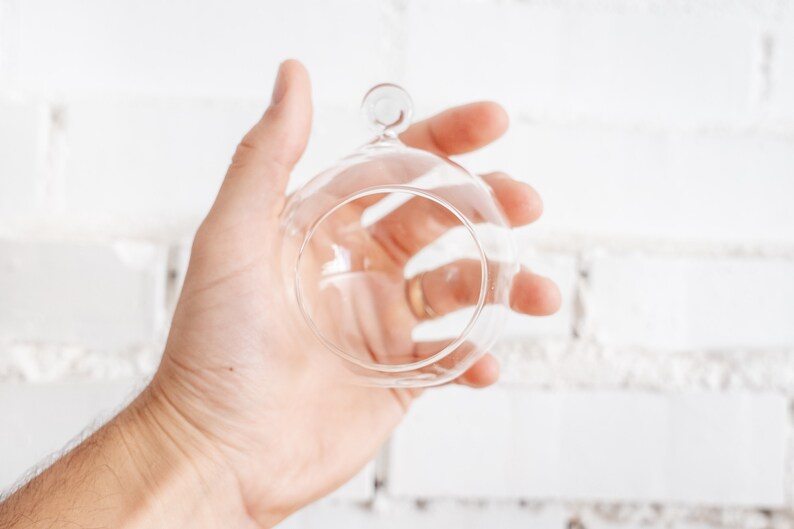 May include: A clear glass terrarium with a circular shape and a small loop at the top. The terrarium is held in a hand against a white brick wall. Ideal for small plants or decorative items.