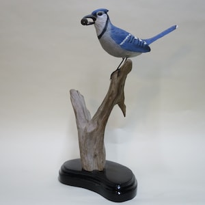 Blue Jay