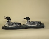 LOONS, Common - Pair