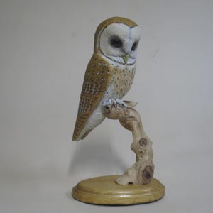 Può includere: Statuetta di gufo artigianale appollaiata su un ramo di legno, montata su una base rotonda. Il gufo ha un viso bianco, occhi scuri e piume marroni e beige. Il ramo e la base sono marrone chiaro.