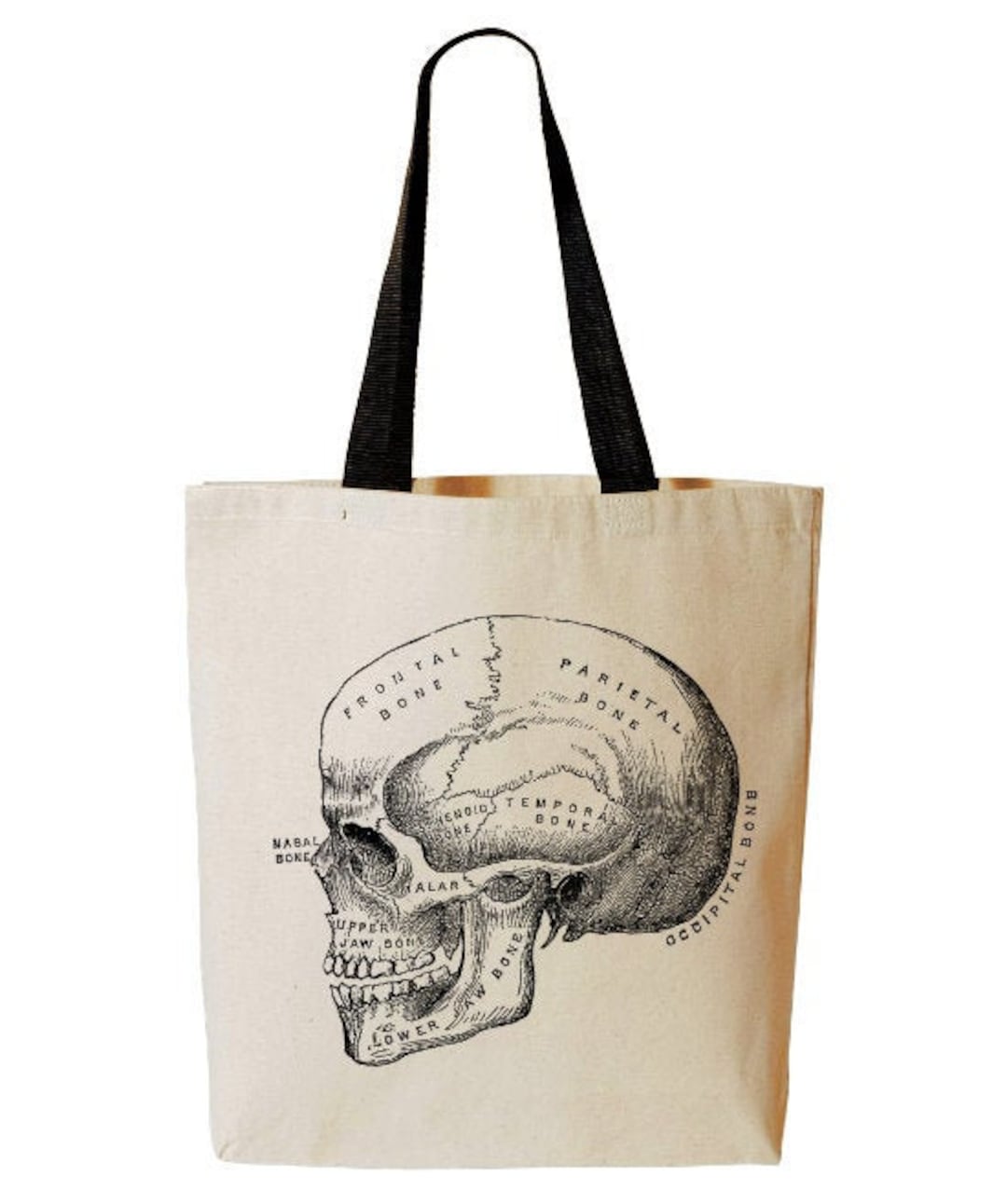 Anatomical Skull Tote Bag, Anatomy, Horror, Reusable Grocery Bag ...