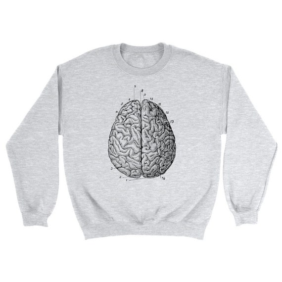 Anatomy sweater best sale