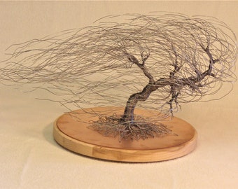 Wire Art - Bonsai Tree Sculptures by Jim Beghtol - Asheville Art Gallery, Contemporary Mountain Crafts