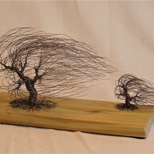Twisted and Wrapped Dark Gray Steel Windswept Tree Sculpture (with seedling) on Pine Base