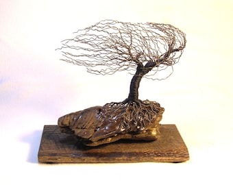 Twisted and Wrapped Black Iron Wire "Curly" Windswept Tree Sculpture on Banacled Driftwood / Barnwood Base