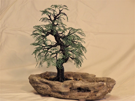 Bonsai informale contorto, albero della vita avvolto in filo di