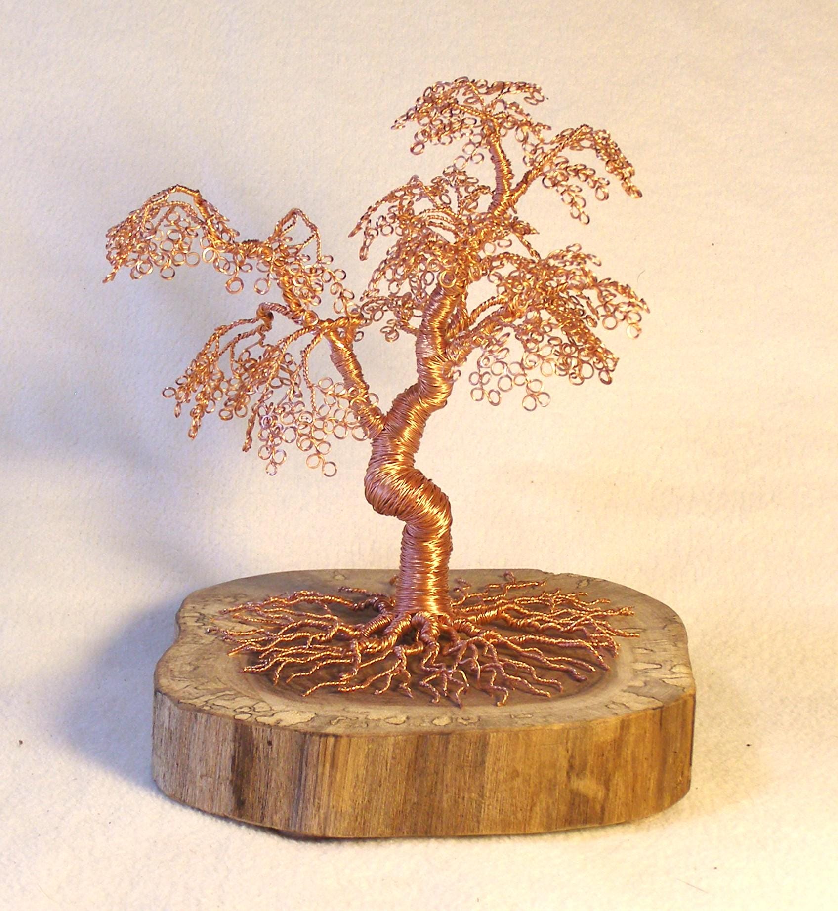 Twisted and Wrapped Square Copper Moyogi Bonsai on Spalted Black Walnut  Slice