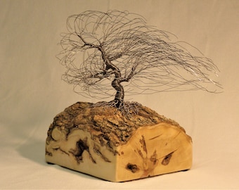 Twisted and Wrapped Dark Gray Steel Windswept Tree Sculpture on Live Edge Boxelder Base