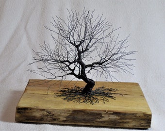 Bonsai de ferro preto torcido e embrulhado e fantasia verde em base de madeira Wormy Barn
