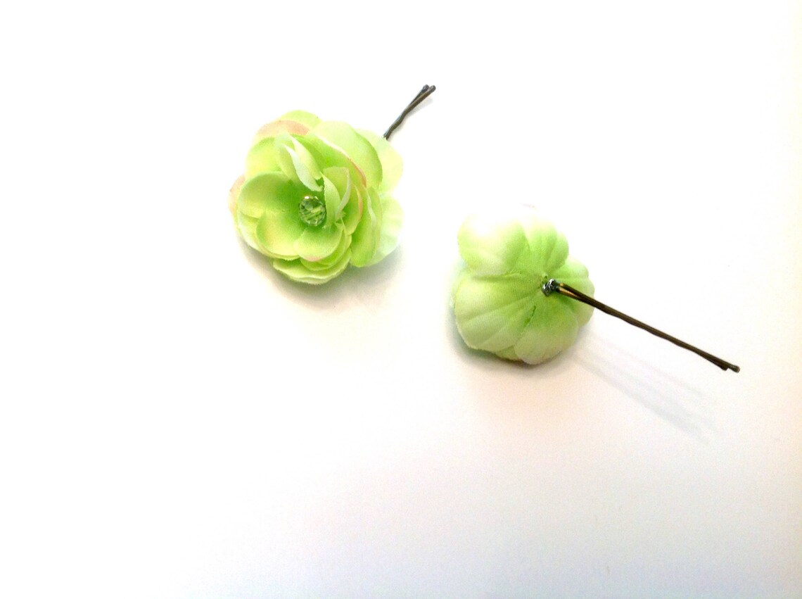 2 hair pins