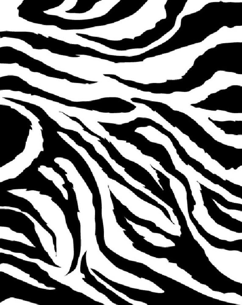 Zebra Print 8 x 10 Edible Image Frosting Sheet Etsy