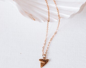 Dainty Shark Tooth Necklace, Gold Filled, Boho, Ocean Lover, Gifts for Her