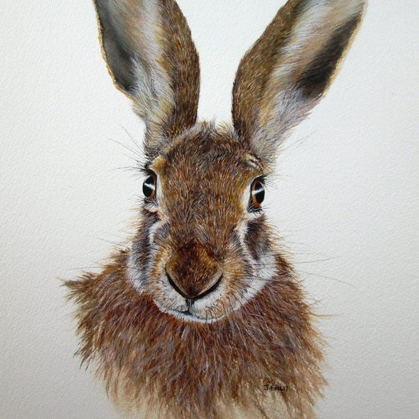 ORIGINAL watercolour painting of a hare by Josephine Bell