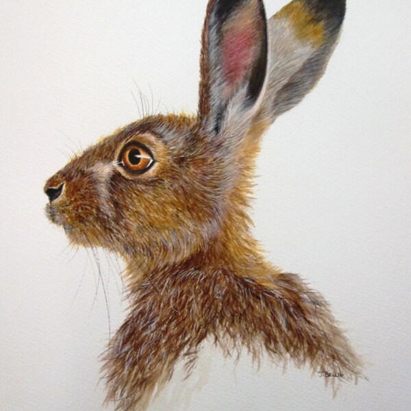 Original watercolour painting of a hare by Josephine Bell