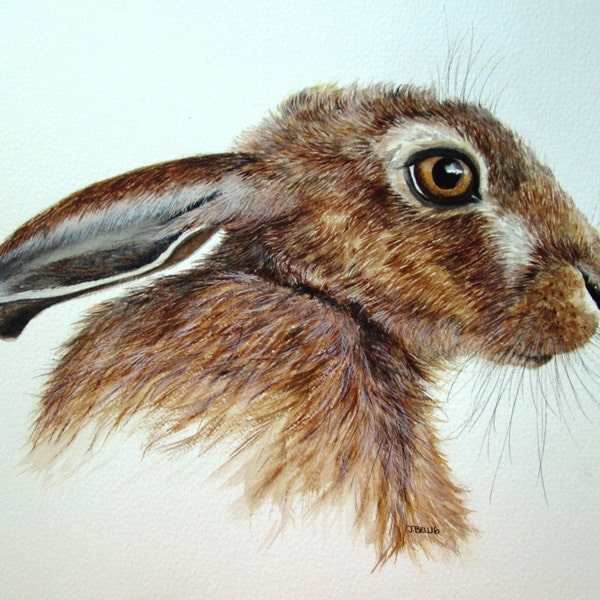 ORIGINAL watercolour of a hare by Josephine Bell