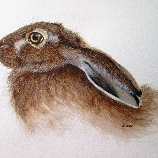 ORIGINAL watercolour painting of a hare by Josephine Bell