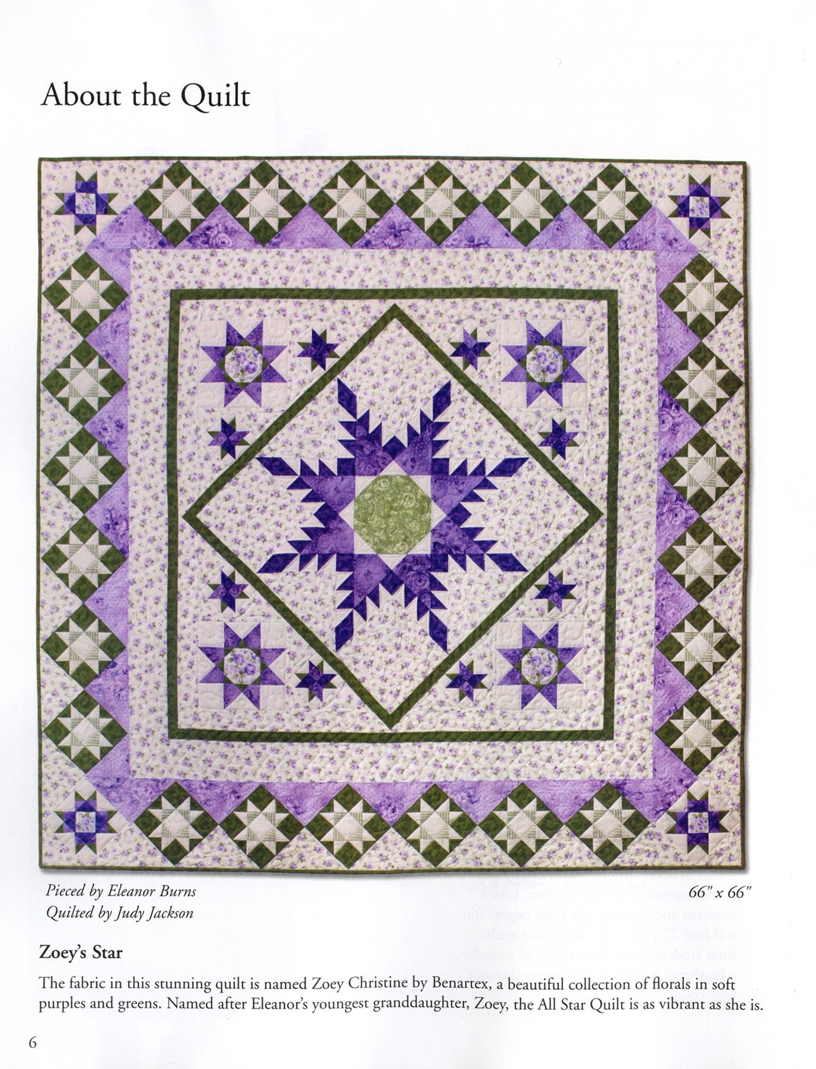 All Star Quilts Book by Eleanor Burns of Quilt in a Day Etsy