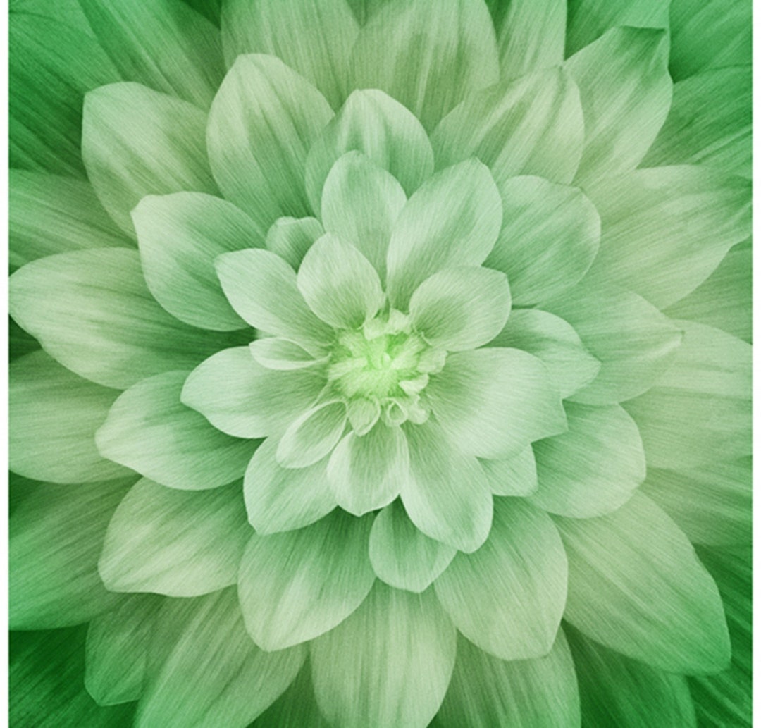 Dream Big Flower Digital Panel 43in X 43in, Hoffman Fabrics Etsy