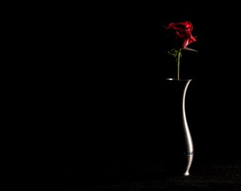 Fine Art Photography - The Rose - wall photo, home decor, dark, romance, flower, vase, love