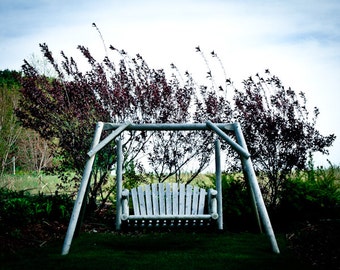 Fine Art Photography - Swing - fine art print wall photo home decor color outdoors sky summer spring