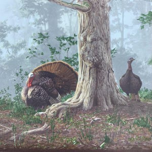 May include: A detailed painting of two turkeys in a forest setting. One turkey displays its fanned tail feathers, while the other stands near a large tree. The scene is set in a misty forest with green foliage and a brown forest floor.