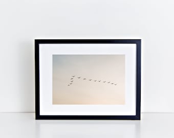 Canadian Geese Fine Art Photography Print - Newburyport Sunrise Lifestyle Masschusetts Wall Home Decor